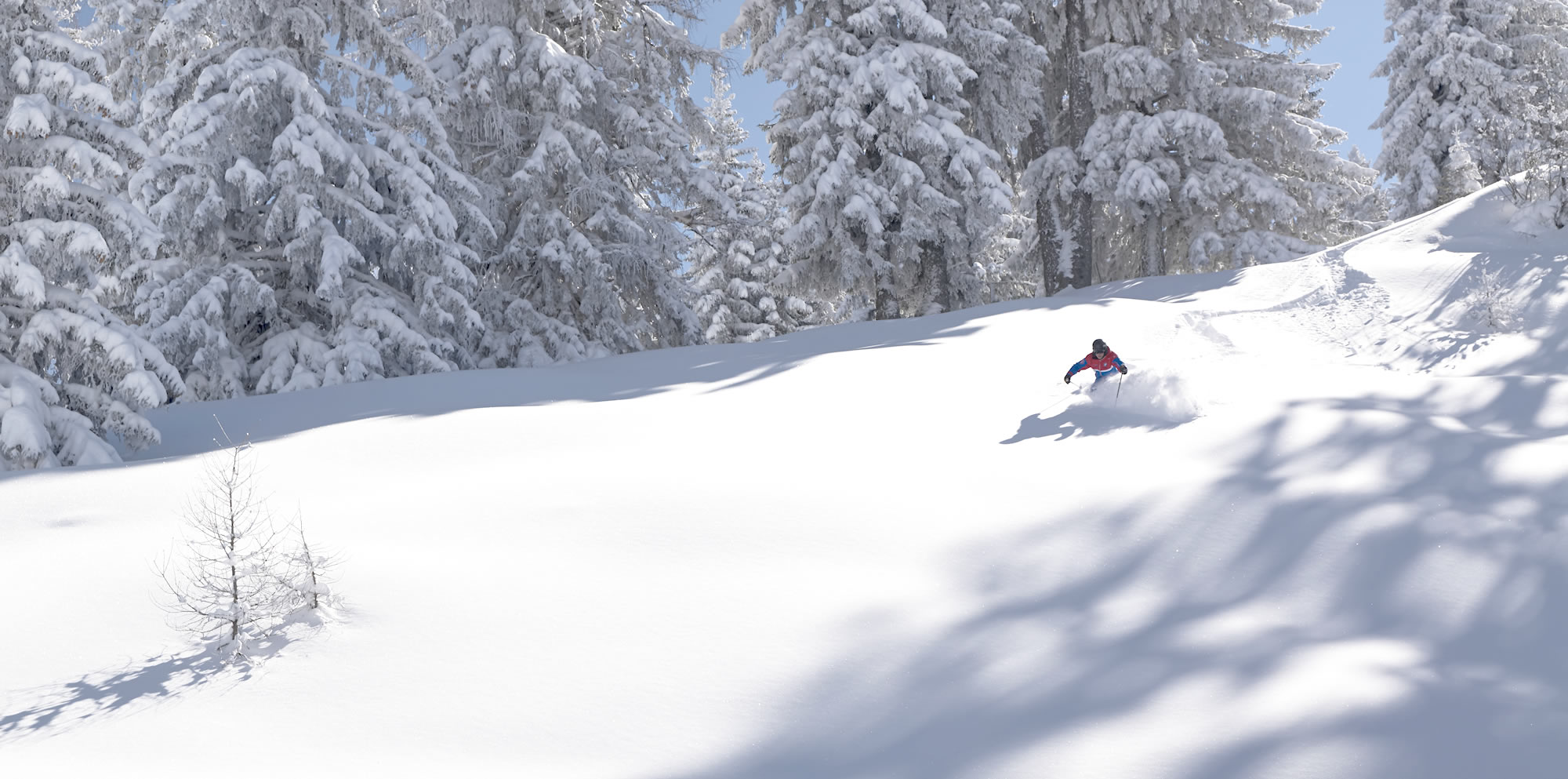 Powder snow Alpendorf/St. Johann im Pongau