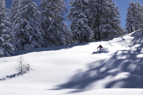 Ski tour downhill in the deep